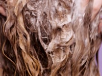 The Clear Thinker Clarifying Shampoo