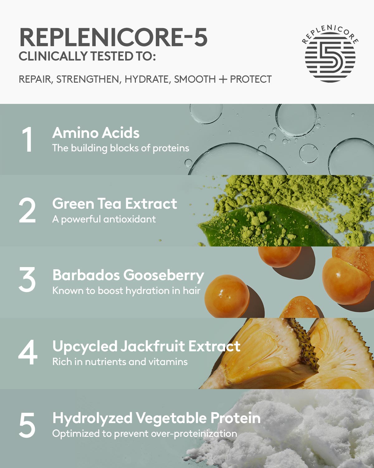 The Clear Thinker Clarifying Shampoo