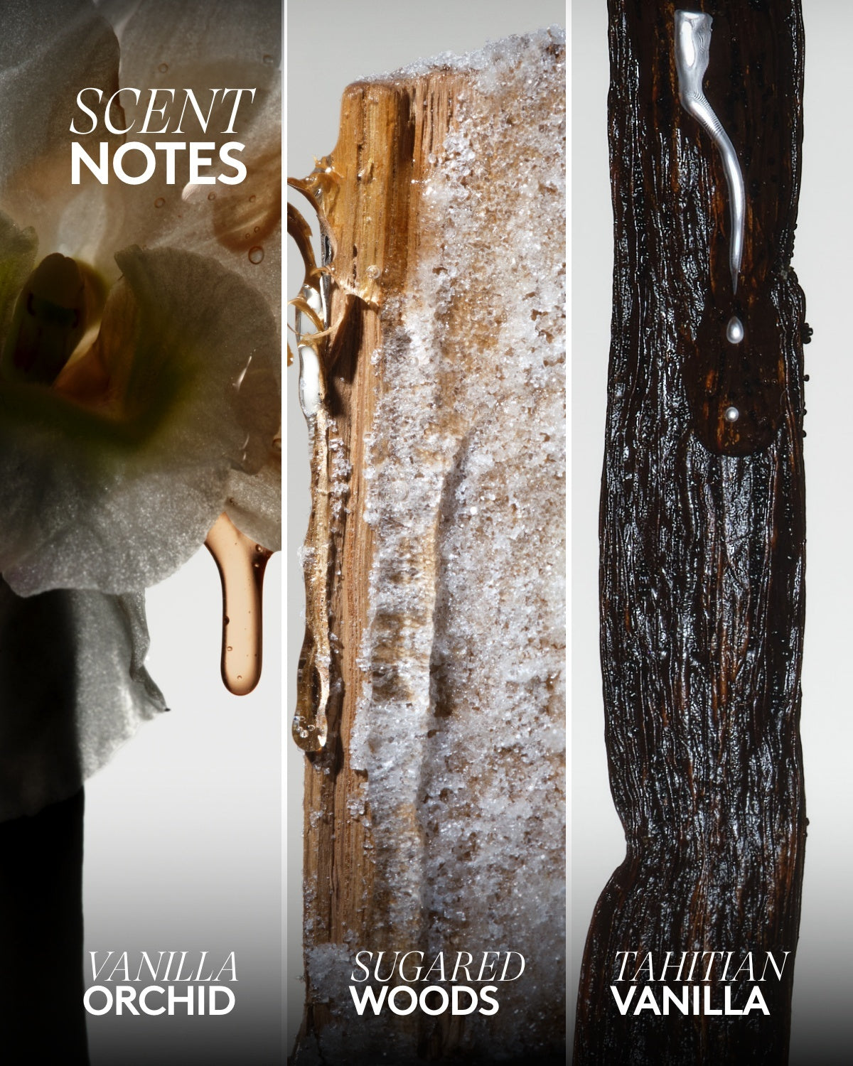 Rich Dip Bubble Bath ââ‚?Vanilla Flowers